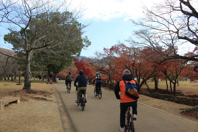 Private Bike Tour in Nara With Japanese Guide - Customer Reviews