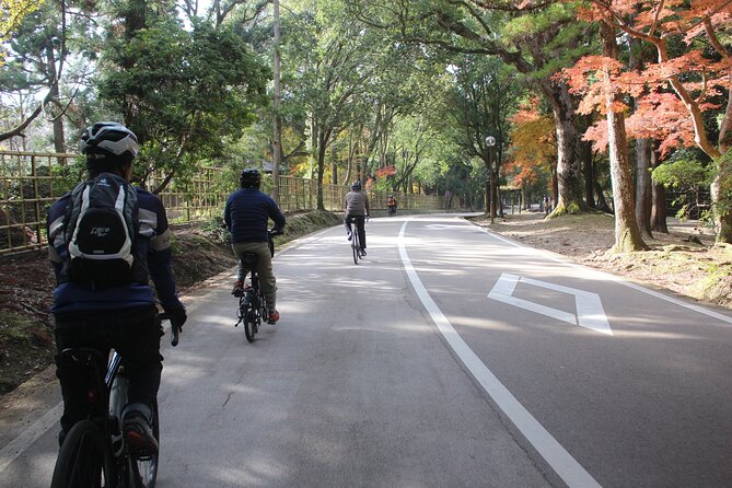 Private Bike Tour in Nara With Japanese Guide - Directions and Recommendations
