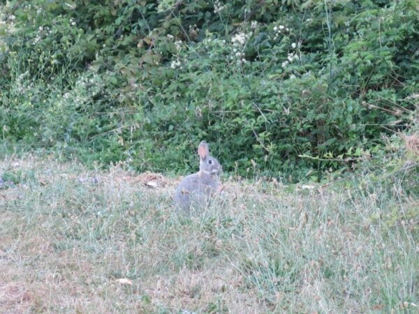 Private Bike Tour, Nature and History Along the Appian Way - Directions
