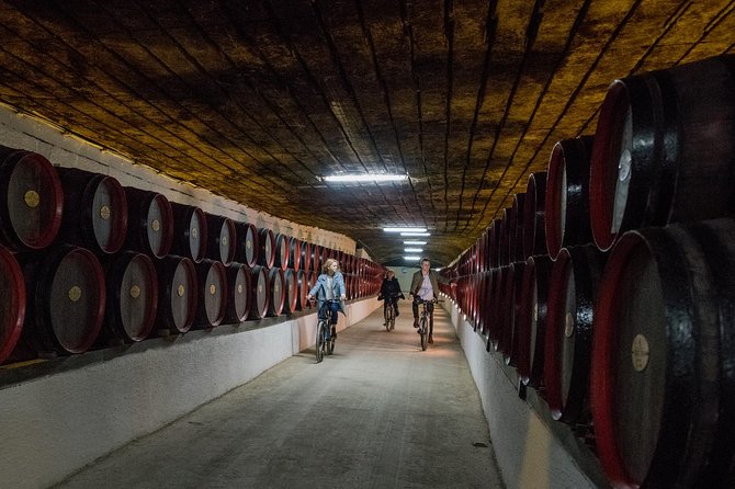 Private Bike Tour to Cricova Winery With Wine Tasting and Lunch - Tour Details