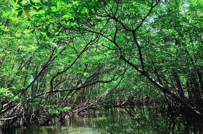 Private Bintan Half Day Tour - Practical Tips