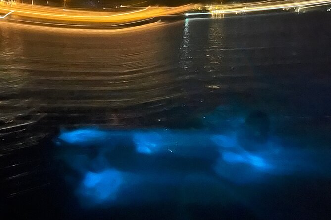 Private: Bioluminescence Tour - 6 Guests - Additional Information