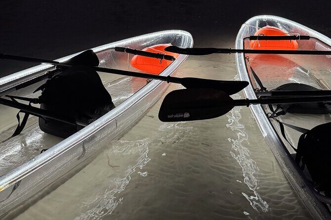 Private Bioluminescence Tour by clear Kayak in Holbox - What Makes This Tour Special?