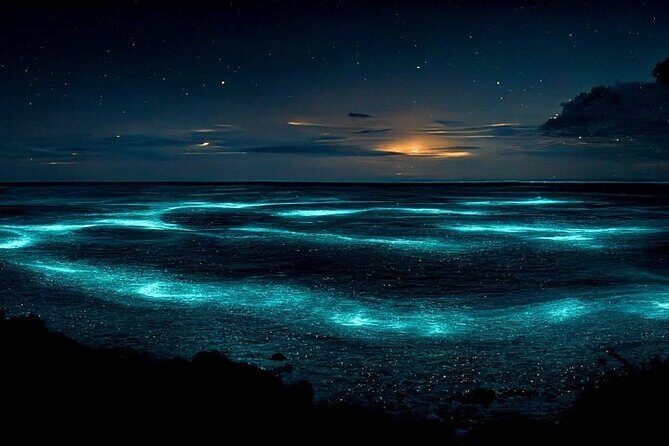 Private Bioluminescent Bay Tour - Good To Know