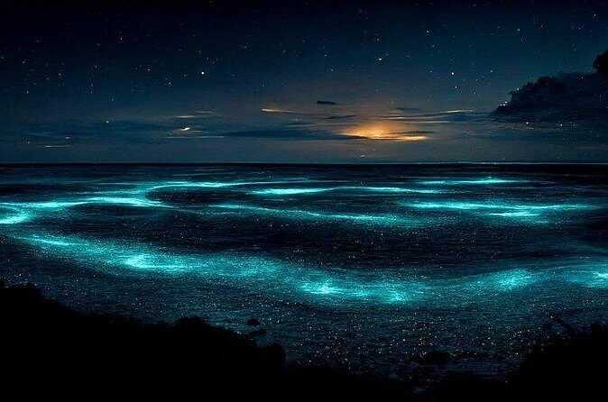 Private Bioluminescent Bay Tour - Who is this tour best suited for?