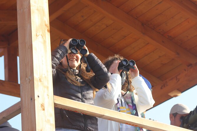 Private Birding Tour in Albania - Tour Details