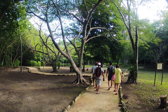 Private Birdwatching Tour in Sian Kaan Muyil - Bird Species in Sian Kaan Muyil