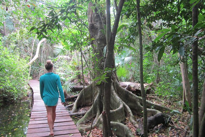 Private Birdwatching Tour in Sian Kaan Muyil - End Point and Additional Pickup Options