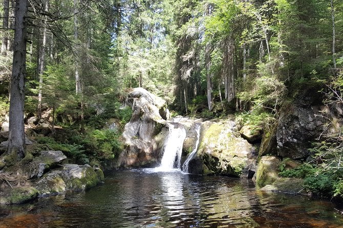 Private Black Forest Tour From Freiburg to Baden-Baden - Common Questions