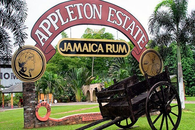 Private Black River and Appleton Rum Tour From Negril - Good To Know