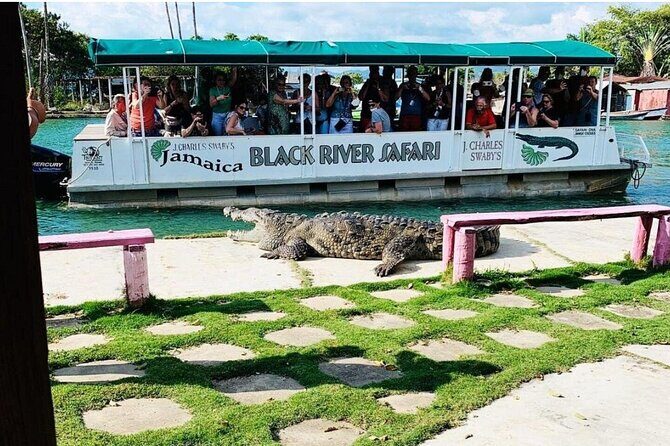 Private Black River Safari Guided Tour & YS Falls Tour - Good To Know