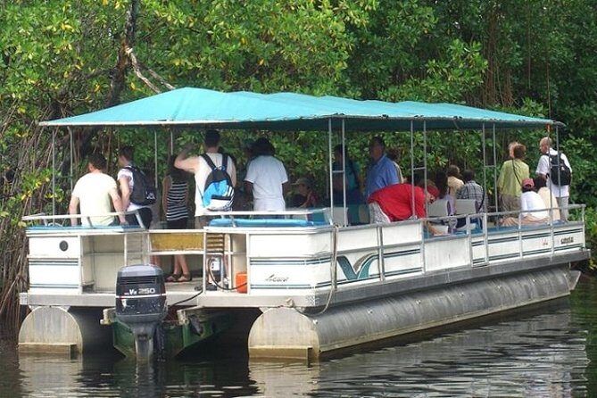 Private Black River Safari Tour from Montego Bay - Good To Know