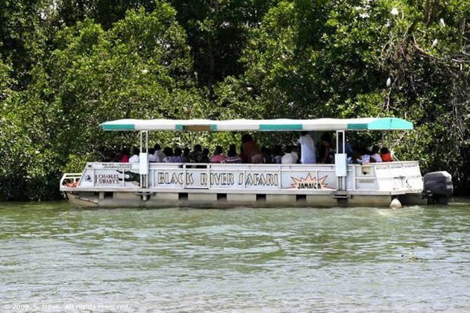 Private Black River Safari Tour from Montego Bay - A Closer Look at the Black River Safari Experience