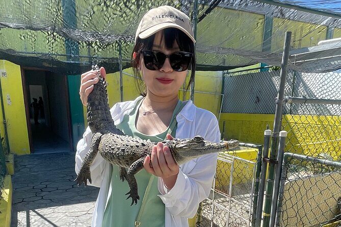 Private Black River Safari Tour from Montego Bay Resorts - Final Thoughts: Is It Worth It?