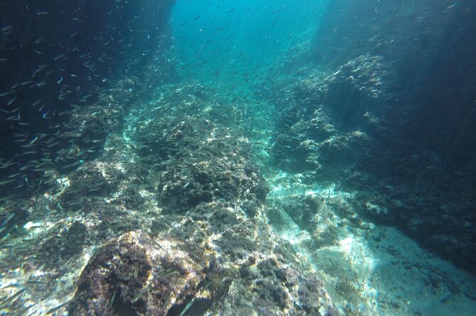 Private Blue Cave Tour-Half Day With a Speedboat - Customer Reviews