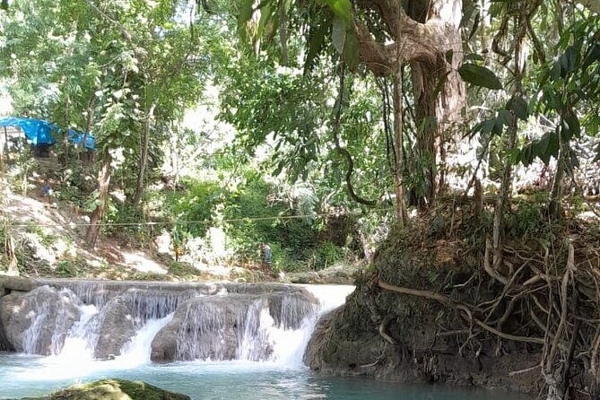 Private Blue Hole and Dunns River Day Trip from Kingston - Who should consider this tour?  