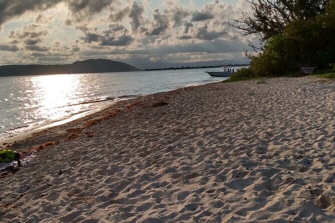 Private Blue Hole and Dunns River Day Trip from Kingston - Good To Know