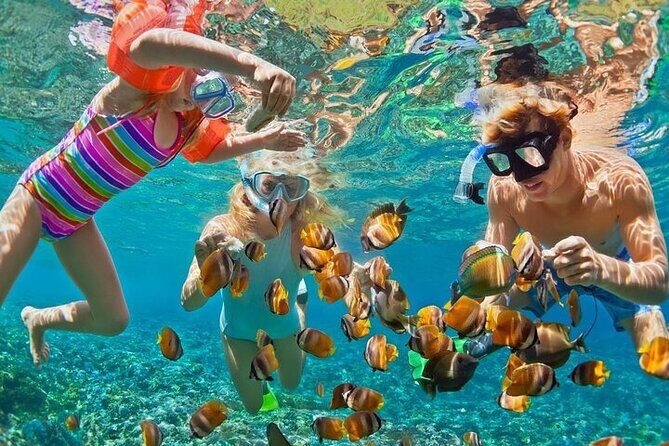 Private Blue Lagoon Snorkeling Lunch All Inclusive - Authentic Insights from Reviewers