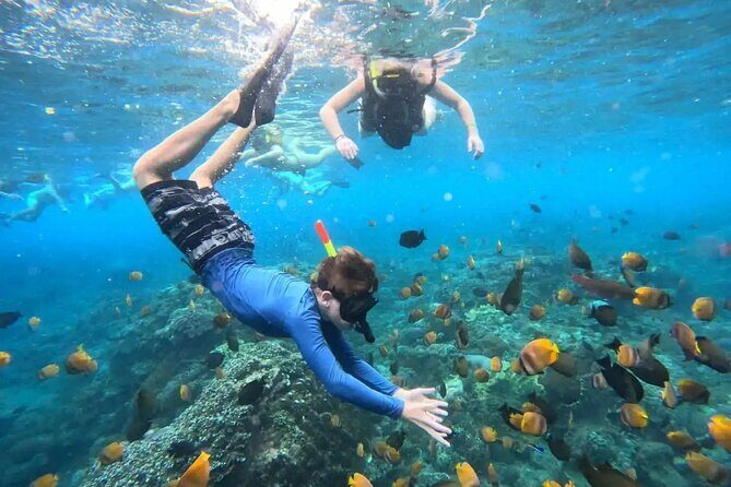 Private Blue Lagoon Snorkeling Lunch All Inclusive - Frequently Asked Questions