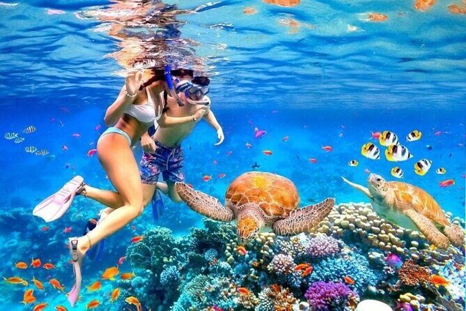Private Blue Lagoon Snorkeling Lunch All Inclusive - Introduction: A Chance to Explore Bali’s Underwater World