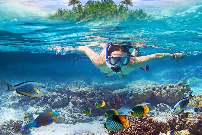 Private Blue Lagoon Snorkeling Lunch All Inclusive - Who Is This Tour Best For?