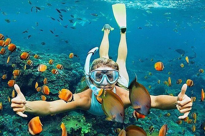 Private Blue Lagoon Snorkeling Lunch All Inclusive - The Sum Up: A Practical and Fun Bali Underwater Adventure