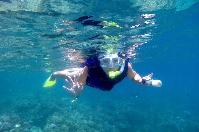 Private Blue Lagoon Snorkeling Tour In Bali - Tour Pricing and Booking Details