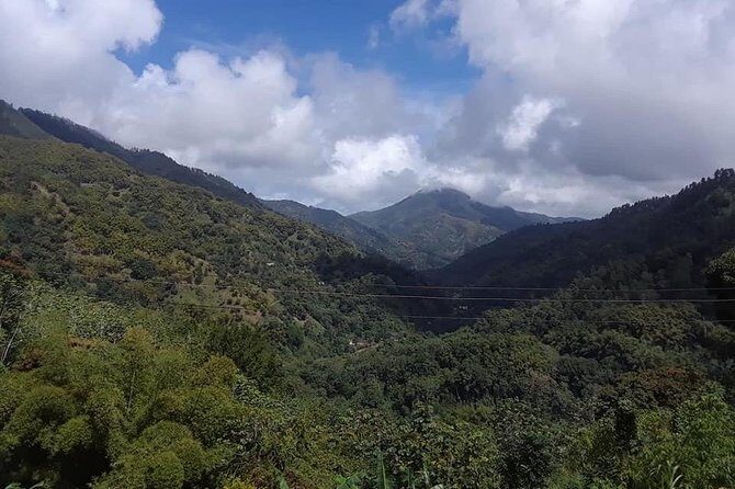 Private Blue Mountain tour from Ocho Rios - Hotel Pickup and Scenic Drive