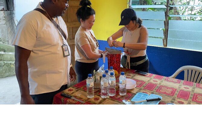 Private Blue Mountain tour from Ocho Rios - Authentic Jamaican Cuisine and Scenic Photos