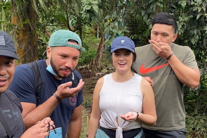 Private Blue Mountain tour from Ocho Rios - The Sum Up