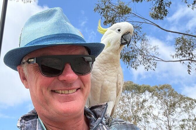 Private Blue Mountains Day Tour  Flexible and Customised - Lincoln’s Rock and Panoramic Views