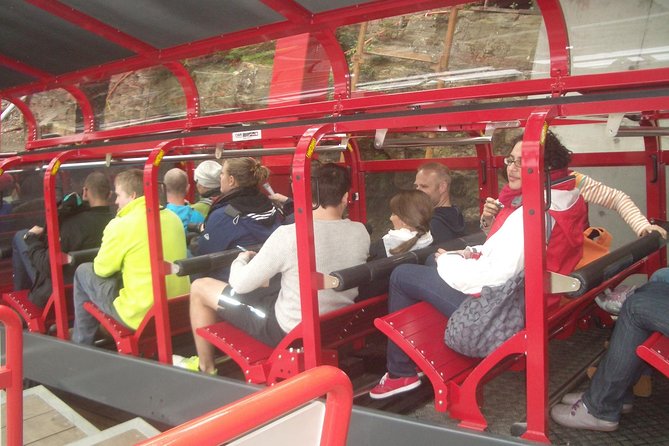 PRIVATE Blue Mountains Day Tour From Sydney With Wildlife Park and River Cruise - Customer Experience and Pricing