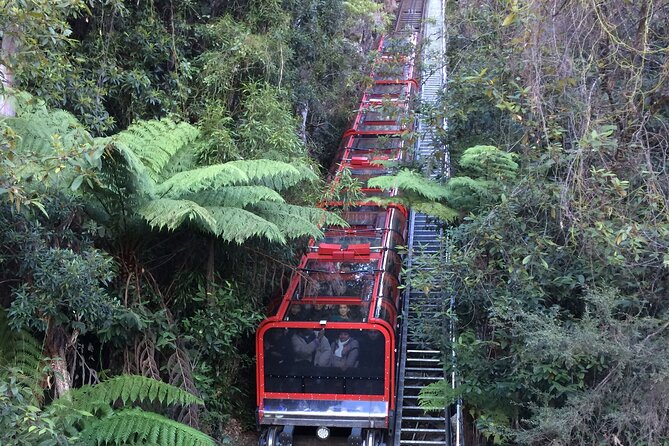 PRIVATE Blue Mountains Day Tour From Sydney With Wildlife Park and River Cruise - Common Questions