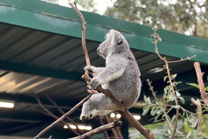 Private Blue Mountains Day Trip VIP From Sydney - Tour Duration and Pickup Location