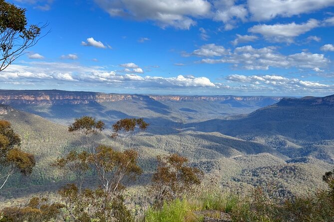 Private Blue Mountains Day Trip VIP From Sydney - Questions and Viator Help Center