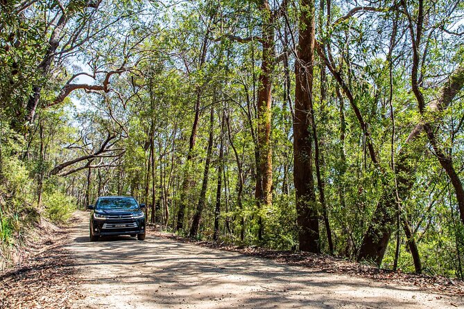 Private Blue Mountains Dirt Road Adventure - From Sydney - Discover the Thrill of Off-Roading in Blue Mountains