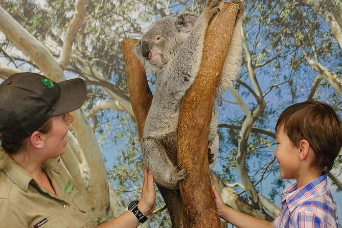 Private Blue Mountains High Country Day Trip From Sydney - Top Attractions in Blue Mountains High Country