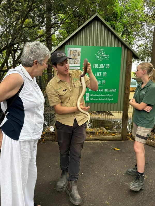 Private Blue Mountains, Scenic World & Australian Wildlife Tour - Echo Point and the Three Sisters