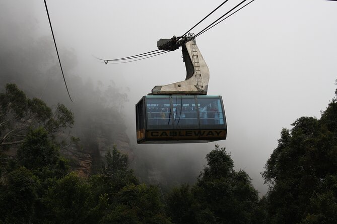 PRIVATE Blue Mountains & Scenic World Tour in a Luxury Car - Company Information and Policies