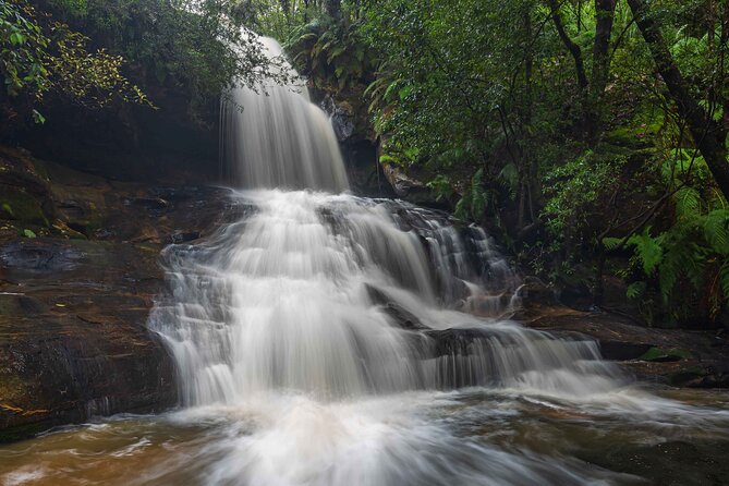 PRIVATE Blue Mountains & Scenic World Tour in a Luxury Car - Common Questions