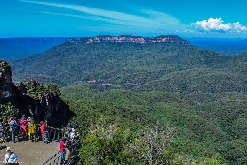 Private Blue Mountains, Scenic World & Wentworth Falls Tour - Who should book this Blue Mountains day?