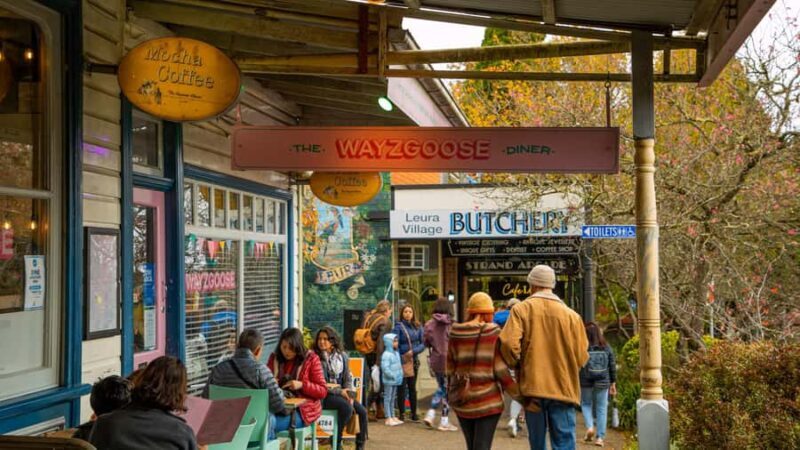 Private Blue Mountains, Scenic World & Wentworth Falls Tour - The Experience: What You’ll Love and What to Keep in Mind