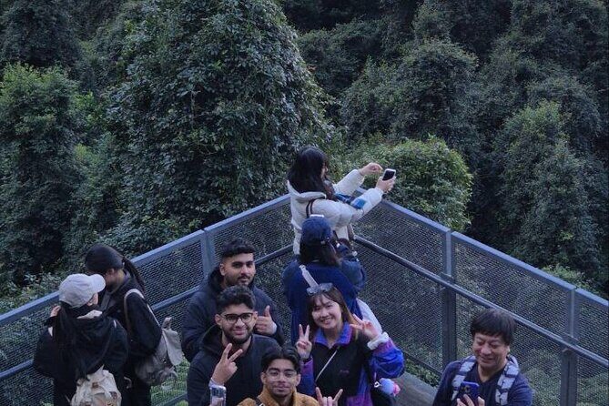 Private Blue Mountains Tour Scenic Views Wildlife and Adventure - Authentic Experiences and Practical Tips