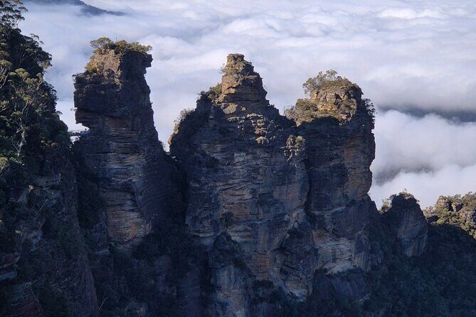 Private Blue Mountains Tour Scenic Views Wildlife and Adventure - Final Thoughts: Is This Tour Right for You?