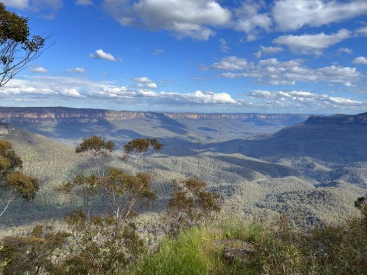 Private Blue Mountains VIP Day Trip From Sydney - Booking Details for the VIP Day Trip
