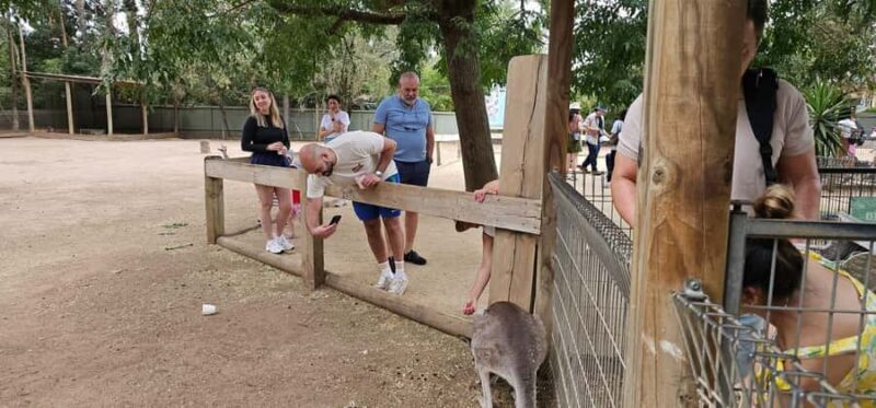 Private BlueMountains, ScenicWorld & AustralianWildlife Tour - What Makes This Tour Stand Out?