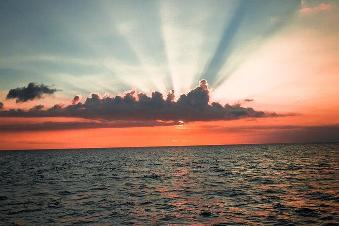 Private Boat and Fireworks Cruise in Waikiki - A Deep Dive into the Experience