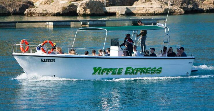 Private Boat Charter - Comino/Parts of Gozo - Experience and Activities