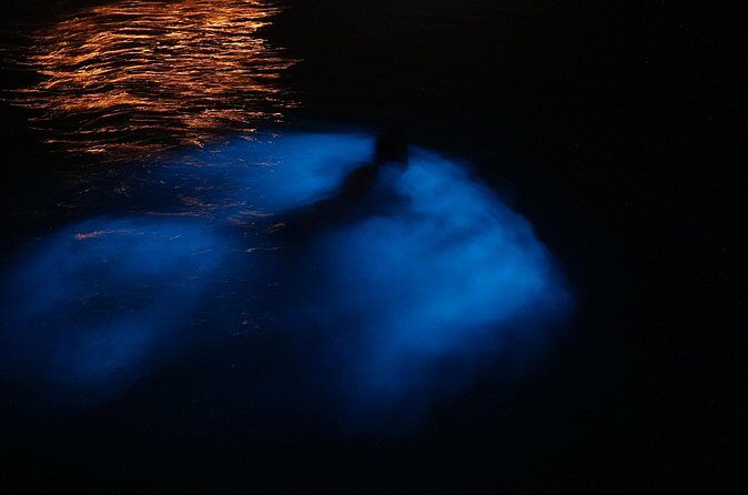 Private Boat Charter Experience in Bio Bay Cayman Island - The Sum Up