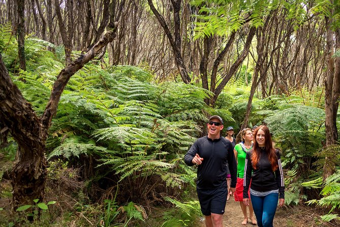 Private Boat Charter in Abel Tasman National Park - Pricing and Terms